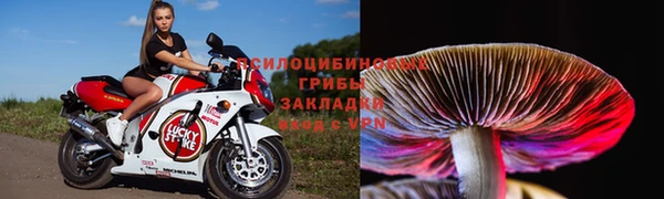 дмт Нефтегорск