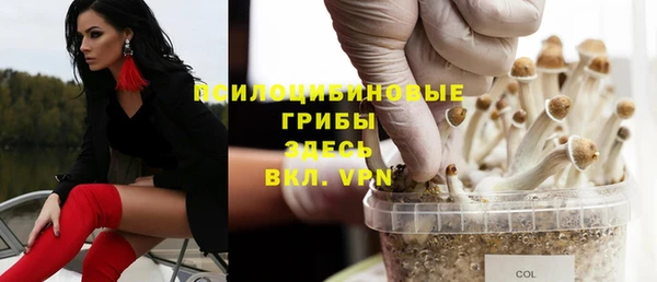 дурь Нефтекумск