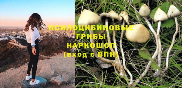 дурь Нефтекумск