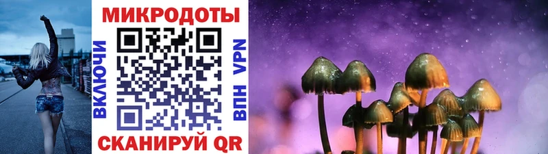 Псилоцибиновые грибы мухоморы  ссылка на мегу tor  Почеп 